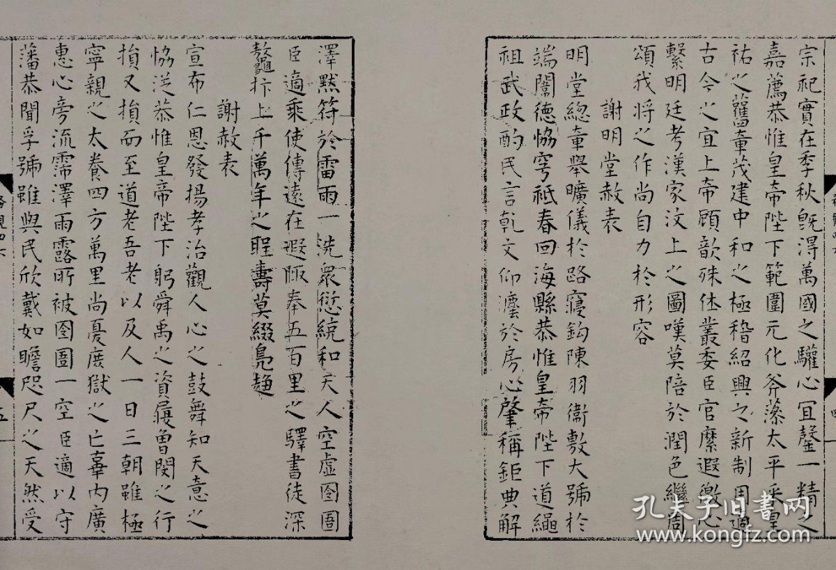 陆注的26现舞战，探索前沿舞蹈艺术的独特魅力，陆注的舞战，探索前沿舞蹈艺术的独特魅力