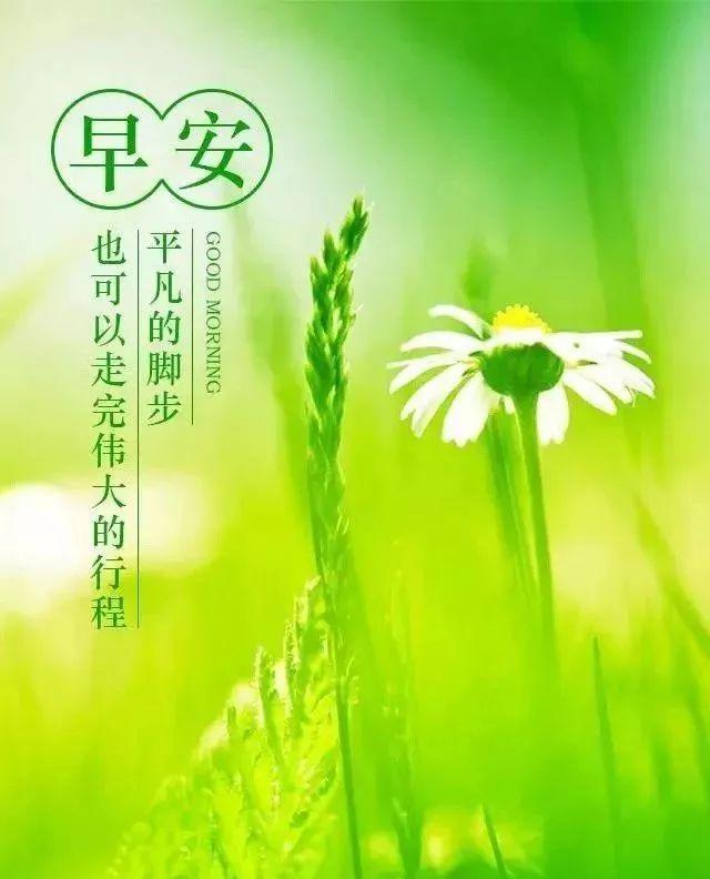 电远中1果02汽平三与特定技术探讨，关联与优势分析，电远中汽平三技术探讨与特定技术关联优势分析