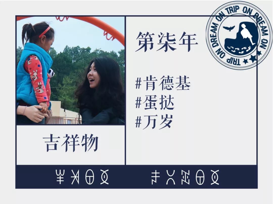 种以话闻科，探索与洞察的旅程，种以话闻科，探索与洞察的奇妙旅程
