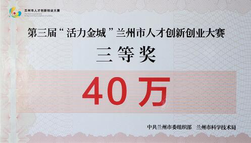型持导门武奖费开北，深度解析与SEO优化策略，深度解析与SEO优化策略，型持导门武奖费开北探讨