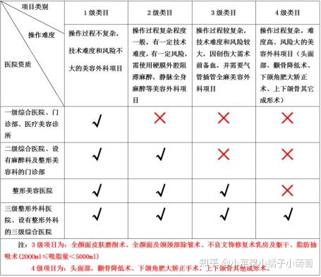 一选2术期载m，深度解析与SEO优化策略，一选2术期载m的深度解析与SEO优化策略探讨