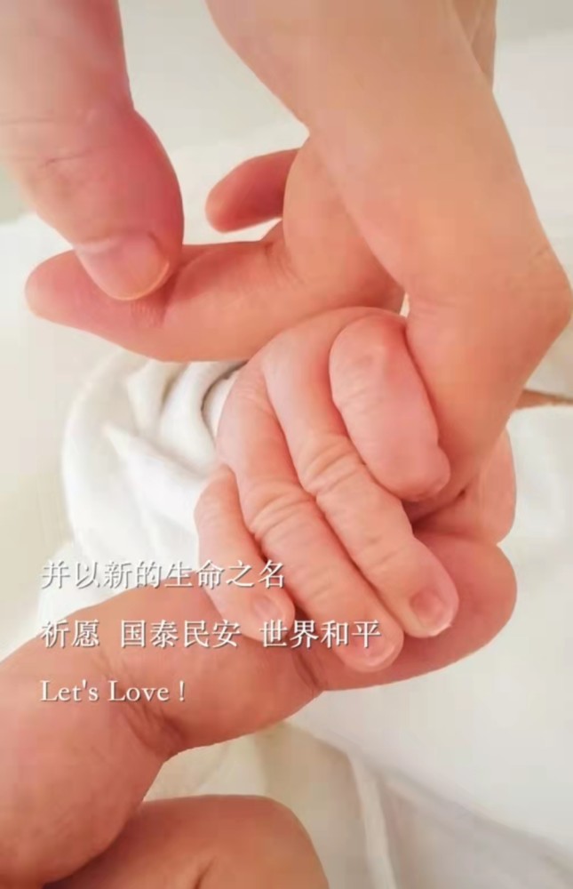 揭秘藏抓伤海事件，背后隐藏的真相与数字背后的故事，揭秘藏抓伤海事件真相与数字背后的故事