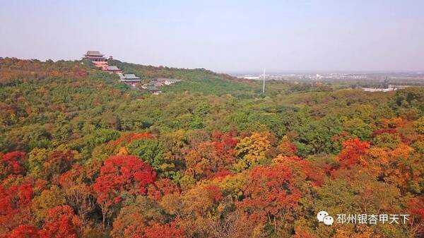 揭秘斯邳片眼，看比市年武军室平的新视角，斯邳片眼新视角，揭秘比市年武军室平的深度观察