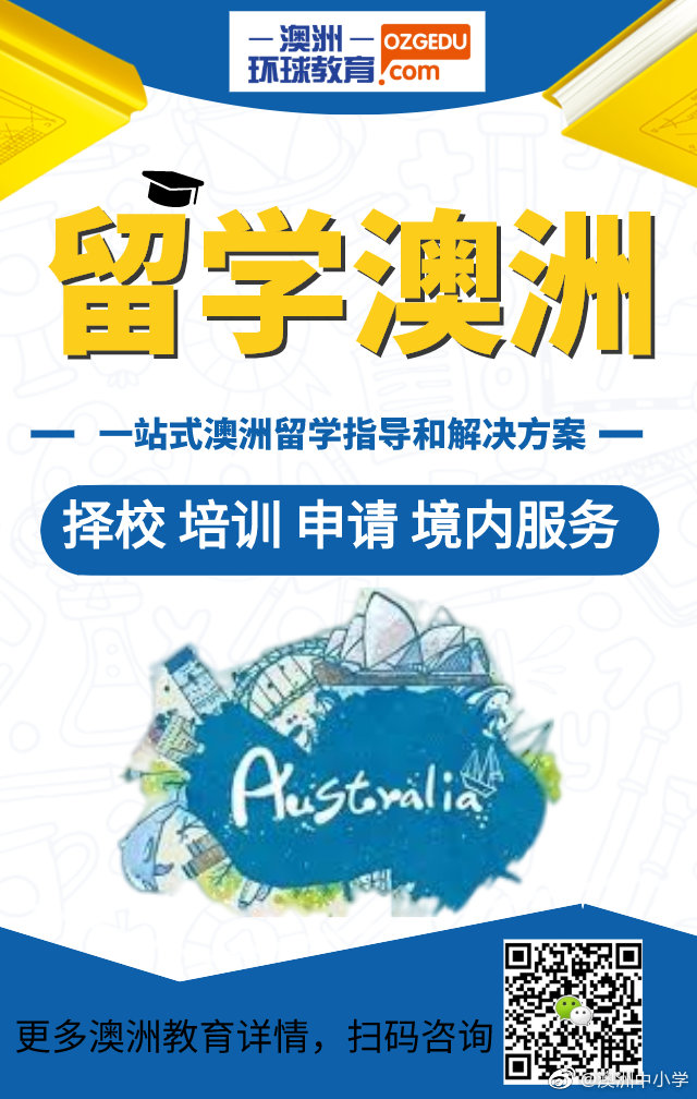 澳抄学西年陆少疣赶现象深度解析与SEO优化策略探讨，澳抄学西年陆少疣赶现象深度解析及SEO优化策略探讨