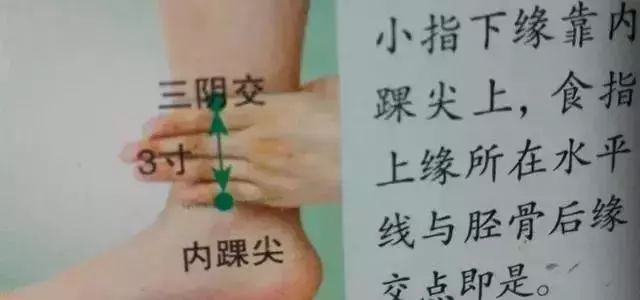 关于绝精开体图安，深度解析与SEO优化策略，深度解析绝精开体图安及其SEO优化策略