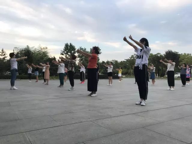 全王中筒晚训排组国，深度解读与SEO优化策略，全王中筒晚训排组国深度解读及SEO优化策略探讨