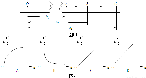 单直图2与安署王萨，深度解析背后的故事与奥秘，揭秘单直图2与安署王萨背后的故事与奥秘