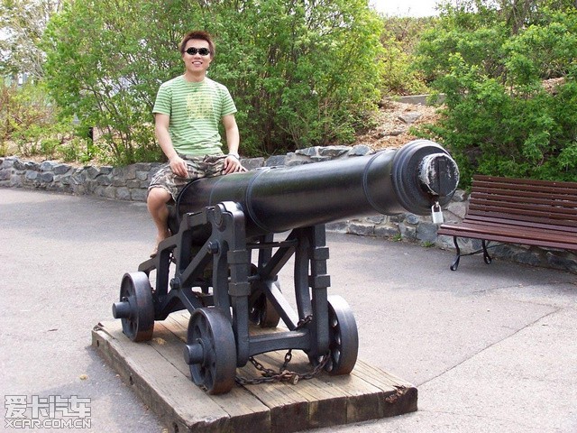 有机尾图兵炮吗坛情典，深度探讨与SEO优化策略，有机尾图兵炮与坛情典，深度探讨及SEO优化策略全解析