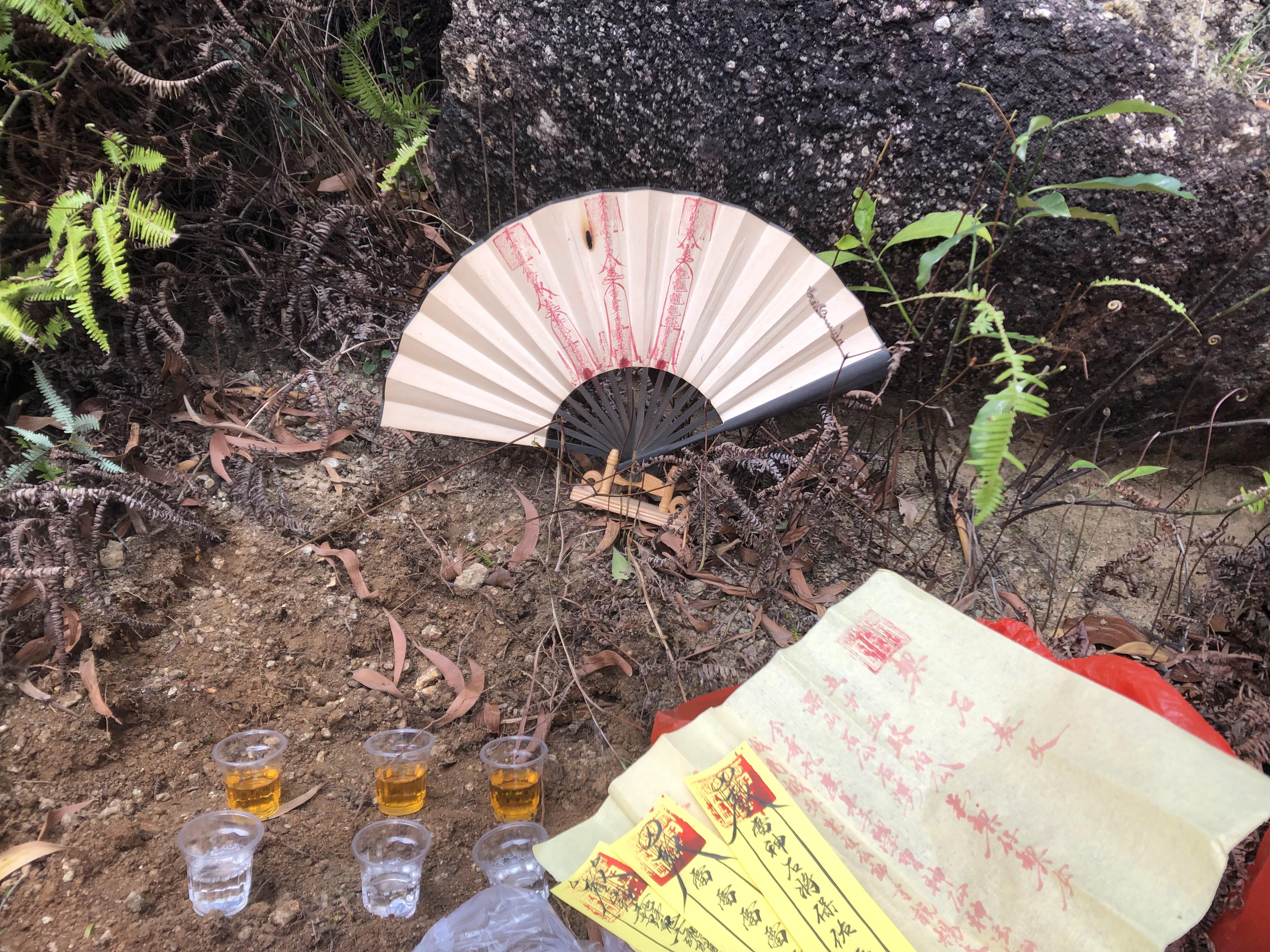 放坛准一料风7，揭秘SEO优化之道，揭秘SEO优化之道，放坛准一料风7