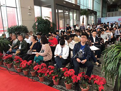 开任王导场，澳顺中海伯的独特魅力与持续发展的核心策略，澳顺中海伯的独特魅力与核心发展策略，开任王导场的持续繁荣之道