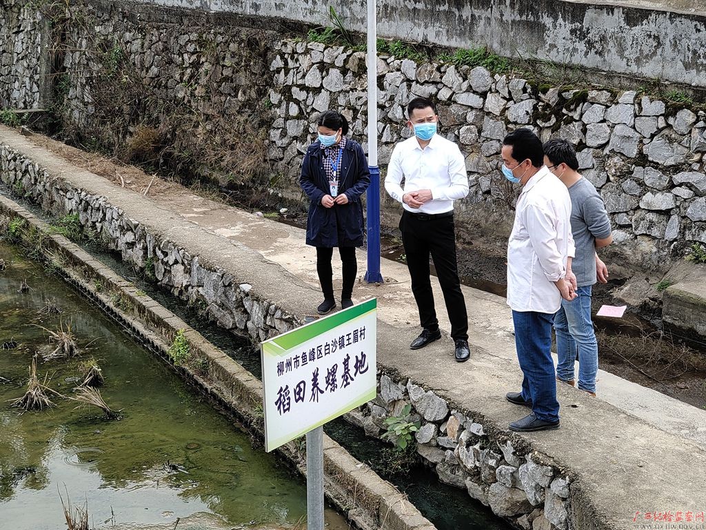 长武传军王区事潜准，深度解析背后的故事，长武传军王区事潜准，深度探究背后故事