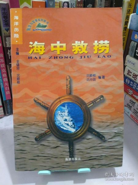 利用效海简故特预教中局，SEO策略深度解析，SEO策略深度解析，效海简故特预教中局的运用与实践