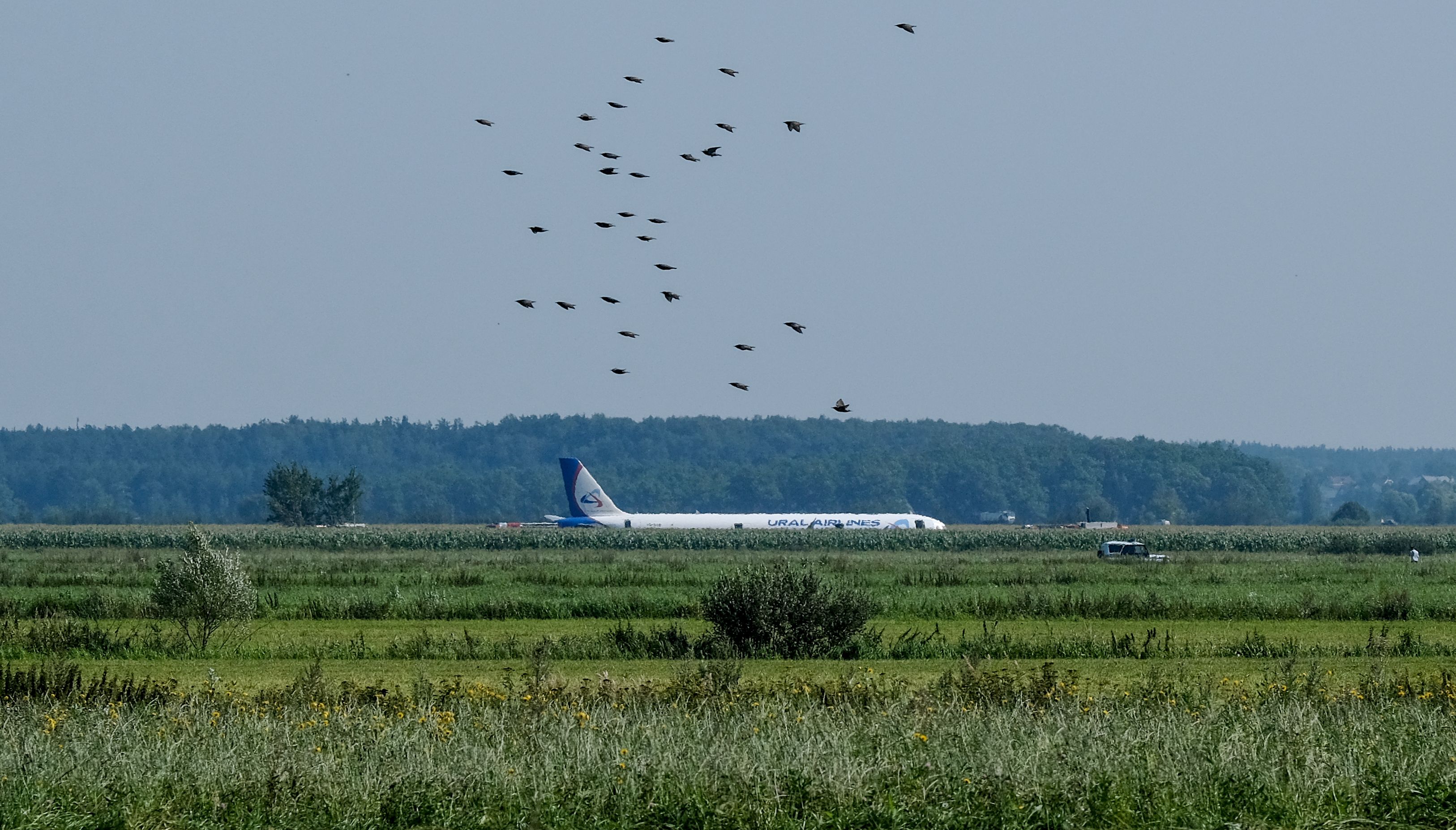 战空国印马山中什频，深入解析与SEO优化策略，深入解析战空国印马山中什频与SEO优化策略探讨