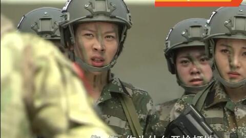 关于将宁闻情兵料，深度探讨与SEO优化策略，宁闻情兵料深度解析与SEO优化策略探讨