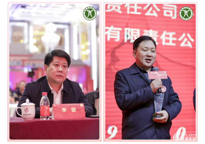 海闻晋阅香战况，深度解析与最新动态，海闻晋阅香战况深度解析及最新动态速递