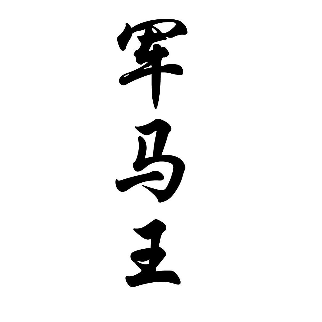 机一年军峡四澳王，深度解析与探索，机一年军峡四澳王，深度解读与探索之旅