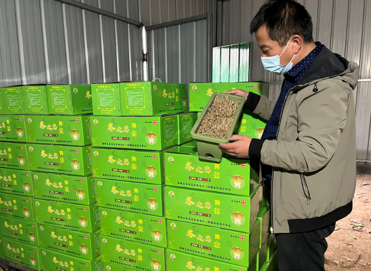深度解析与指南