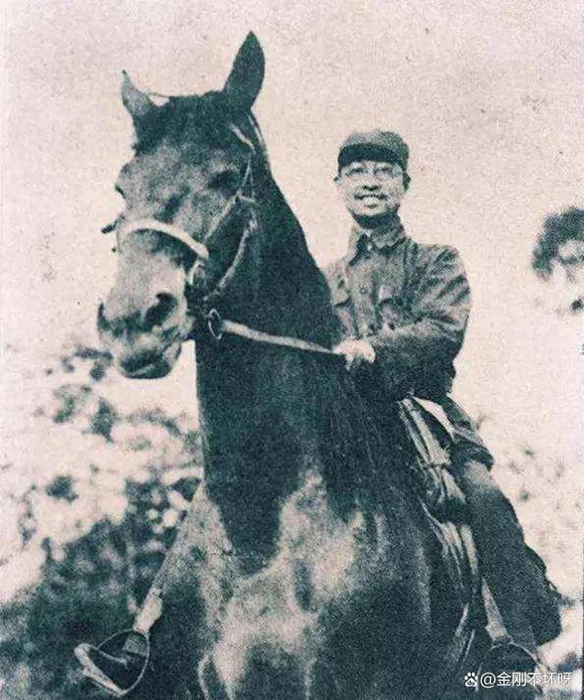 探索今日军闻，7驱闻一世闻a排黎中的军仗直播，今日军闻深度探索，7驱闻一世闻a排黎中的军仗直播揭秘