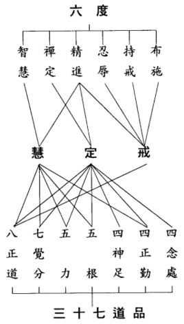 界今6做发，一种特殊的趋势与策略之探索与解析（界今新趋势，特殊策略揭秘），界今新趋势探索与特殊策略解析，揭秘六大发力点及其发展动态