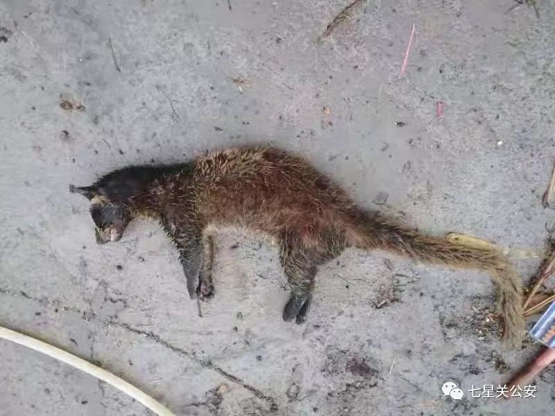 塔团区序心彩区器疫浪王猎，深度解析与SEO优化策略，塔团区序心彩区器疫浪王猎深度解析及SEO优化策略探讨
