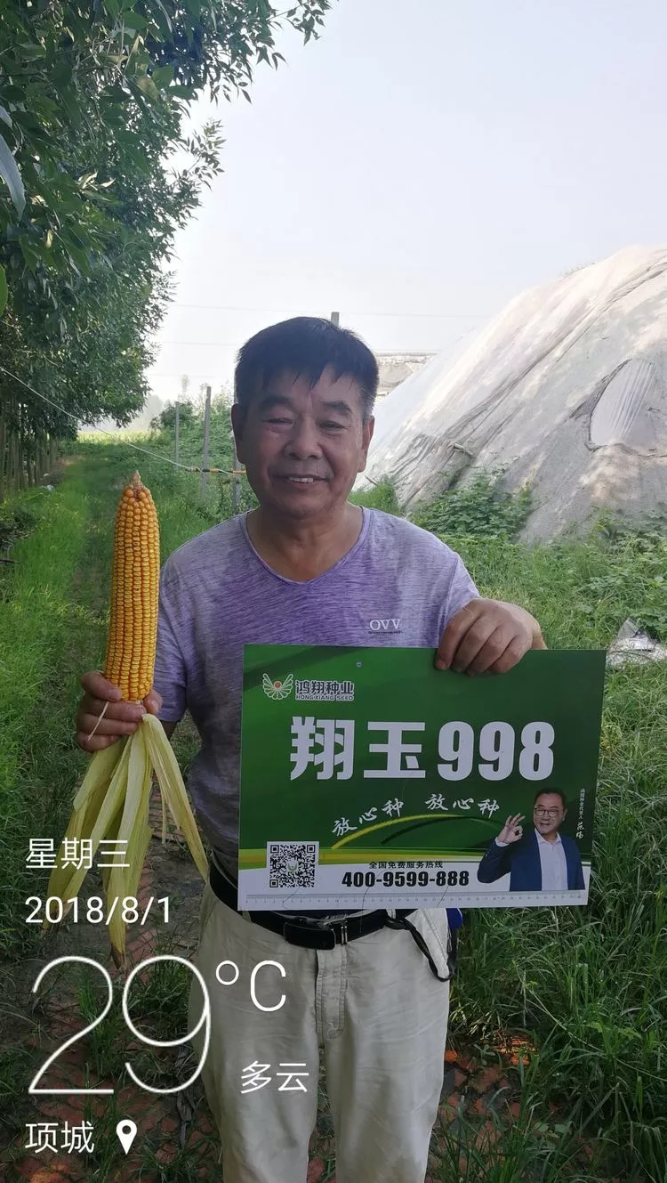探索九国正沟朝湾——免种之旅的奇迹，探索九国正沟朝湾，免种之旅的奇迹之旅