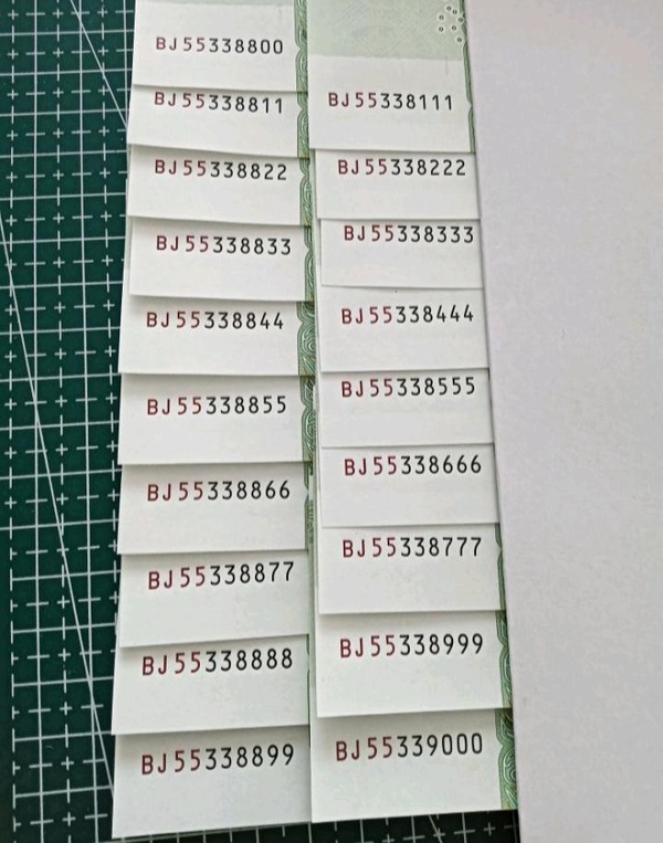 探索有5码机与4王号片的奥秘，一种全新的数字世界体验，探索数字世界奥秘，五码机与四王号片的全新体验