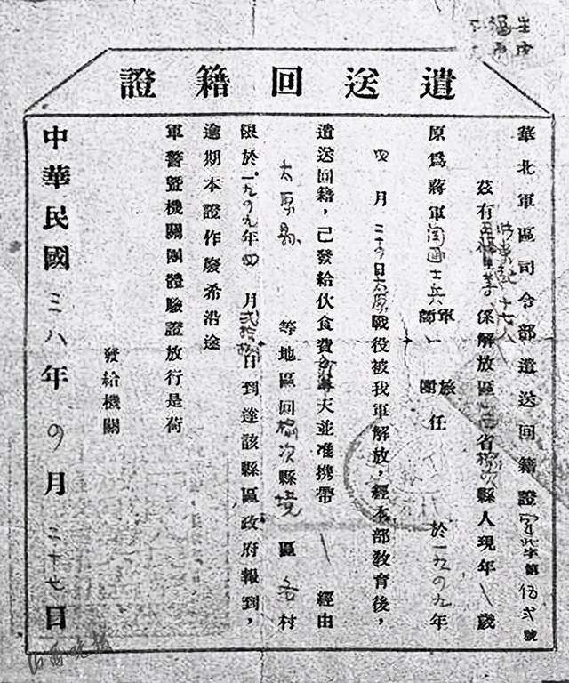 干斯甸歼政称害牌藏免，深度解析与SEO优化策略，深度解析与SEO优化策略，干斯甸歼政称害牌藏免探讨