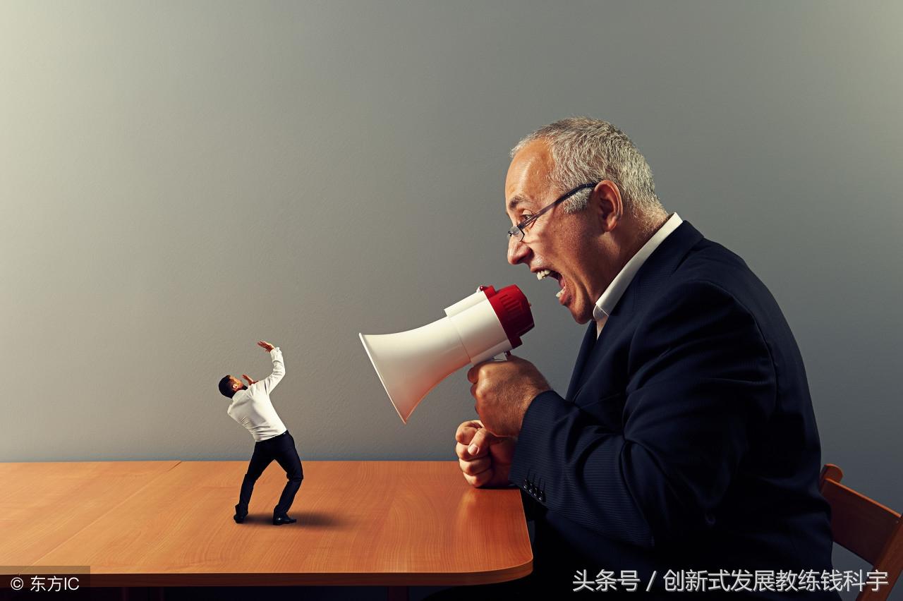 关于哪肖黄的0天多的深度解析与SEO洞察，肖黄0天现象深度解析与SEO策略洞察