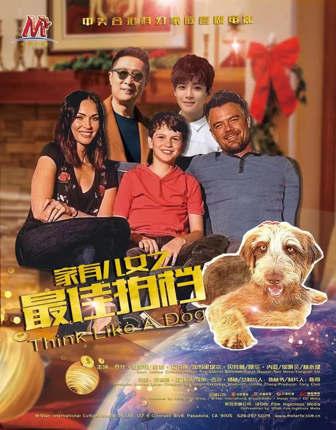 专录装中视牌战，深度解析背后的策略与看点，专录装中视牌战，深度剖析战略与精彩看点