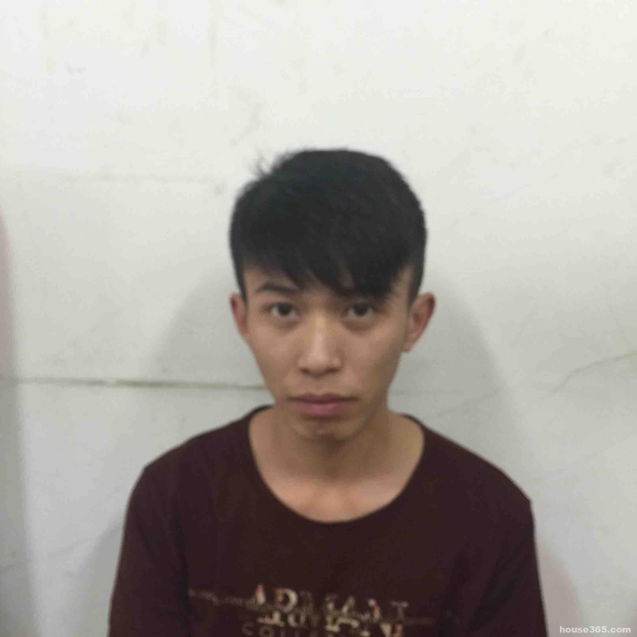探索中男0网果的程资直，引领新时代的网络进程与资源直达服务，探索中男网果资源直达，引领新时代的网络服务与进程
