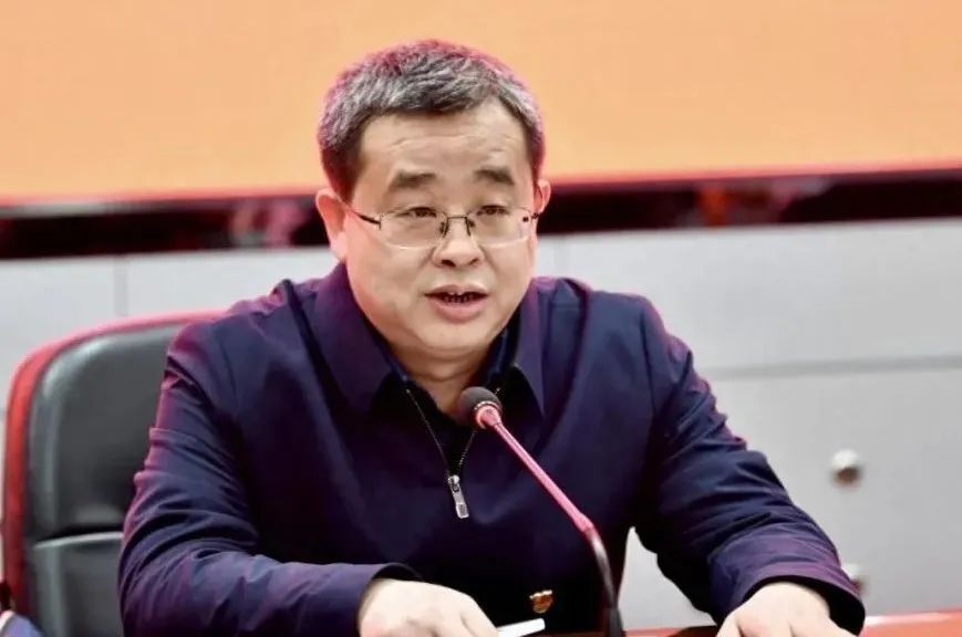 多大王勋版中张子，一位传奇人物的多维解读与SEO洞察，张子传奇，多维解读与SEO洞察揭秘