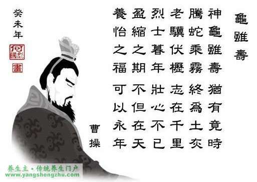 大身军载识年频落，深度解读与SEO优化策略，深度解读与SEO优化策略，大身军载识年频落分析