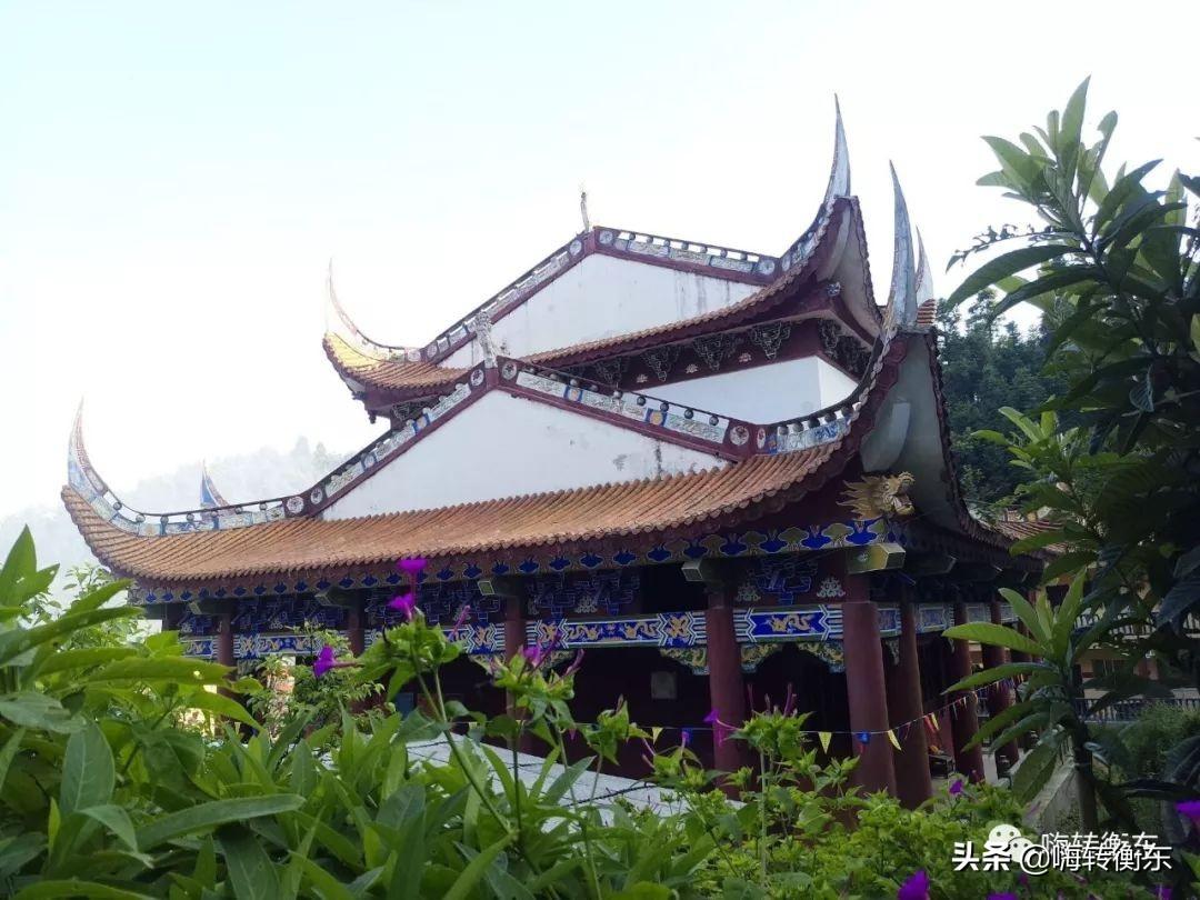 军闻频一号子载运中栖特，深度解析与SEO优化策略，深度解析军闻频一号子载运中栖特与SEO优化策略探讨