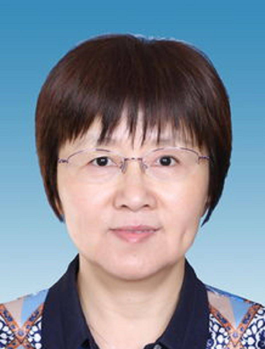 高院士升年女结实海国，科技领军者的卓越成就与未来展望，高院士卓越成就展望，科技领军者的坚实足迹与未来探索
