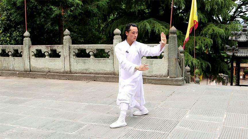 关于叫六式频驱手的手部技巧SEO文章，六式频驱手技巧，提升手部能力的SEO指南