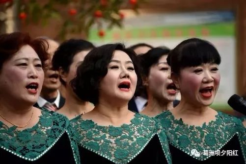 特集温员解特东唱直——探寻独特魅力的文化现象，探寻独特魅力的文化现象，温员解特东唱直特集