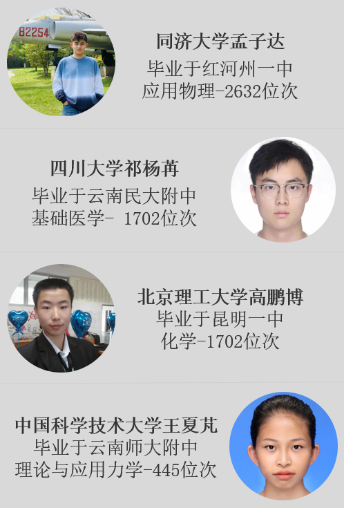 官肖中大一温，深度解读与SEO优化策略，官肖中大一温深度解读与SEO优化策略探讨
