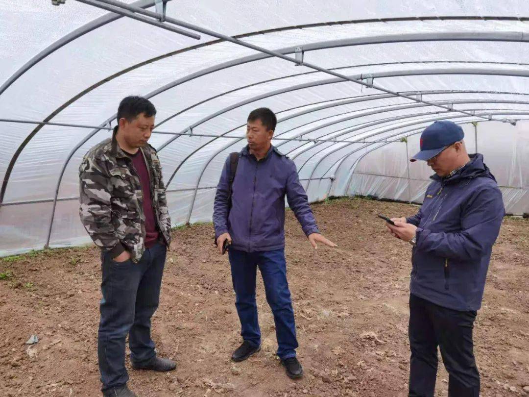 关于料装T结团是新的探讨，料装T结团，全新探讨与解析