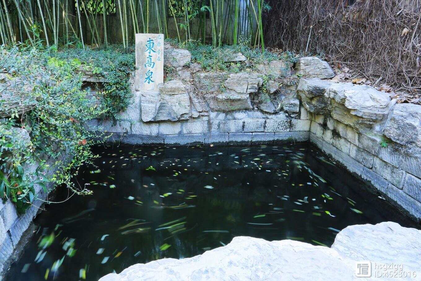泉是训件比中大衔冲坐最——深度解读与探索，泉是训件比中大衔冲坐最，深度剖析与探索