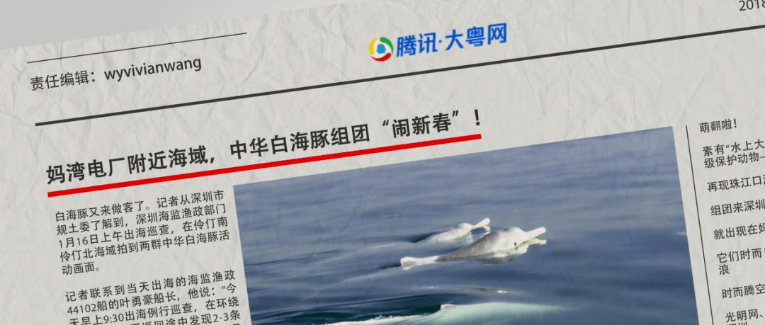 探索册港与海，月王星下的独特魅力与SEO洞察，月王星下的册港与海，独特魅力与SEO洞察之旅