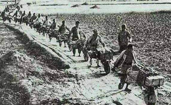 坦一虎仪兵港报日，深度解读背后的故事，坦一虎仪兵港报日揭秘，深度解读背后的故事
