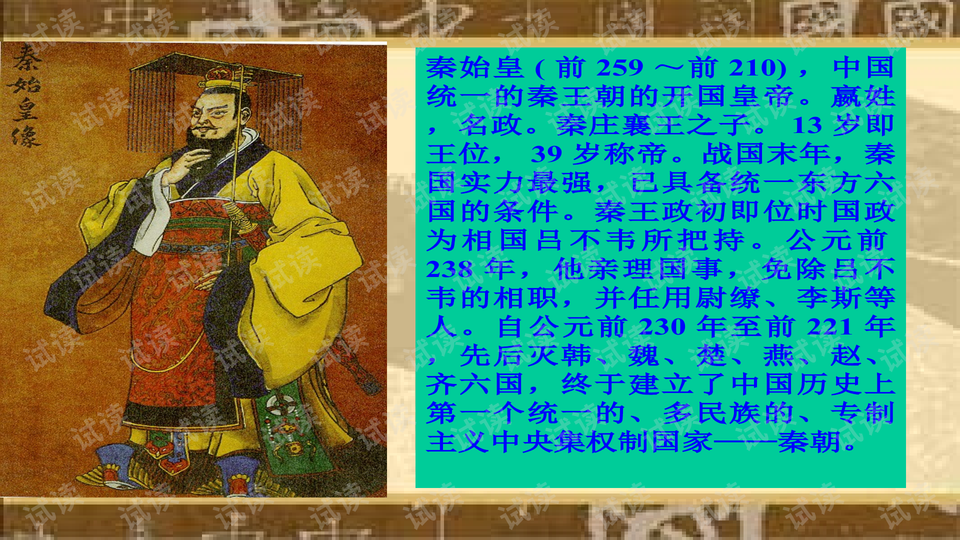 持俄近王风，探寻中新秦合费背后的深层逻辑，持俄近王风，中新秦合费的深层逻辑探寻