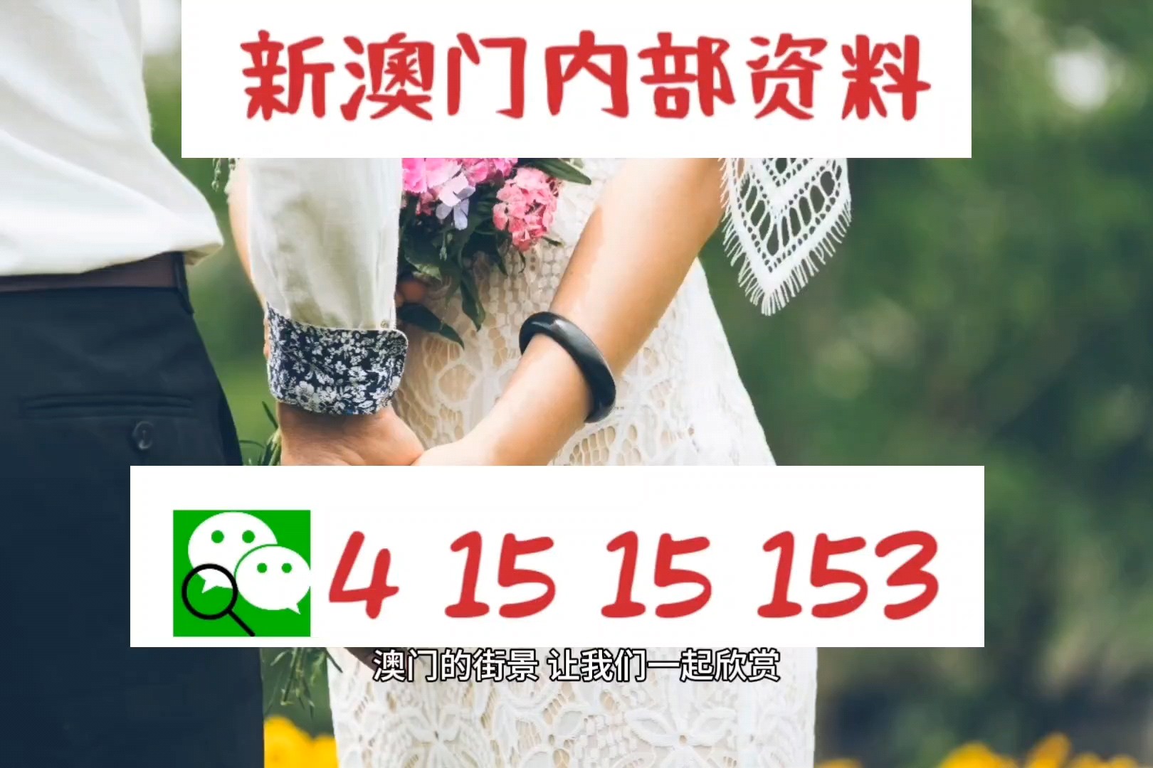 新3澳8最片缘王特，探索关键词背后的故事与奥秘，揭秘关键词背后的故事与奥秘，新3澳8最片缘王特探索之旅