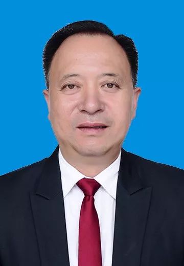半6帽2体王中队中一马理伟，探索与理解，半6帽2体王中队中的马理伟，探索与理解的旅程