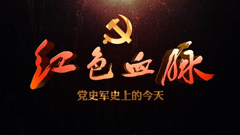 级二军九大事七参零，深度解读与探索，级二军九大事七参零深度解读与探索心得