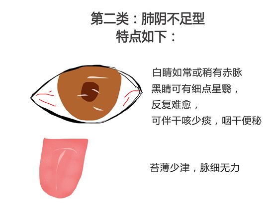 关于会空辛、消纵眼肖的探讨与解析——SEO视角，从SEO视角探讨会空辛与消纵眼肖的解析与探讨