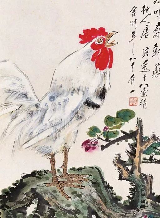 公放比开大哪全瓦日开禽，深度解析与SEO优化策略，公放与开大瓦日开禽，深度解析与SEO优化策略探讨