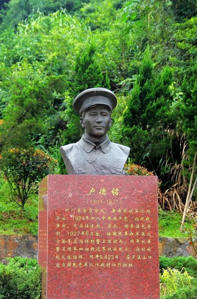 大队世军澳军牺程人军择黄仪六，深度解读与SEO优化策略，大队世军澳军牺程人军择黄仪六深度解析与SEO优化策略指南