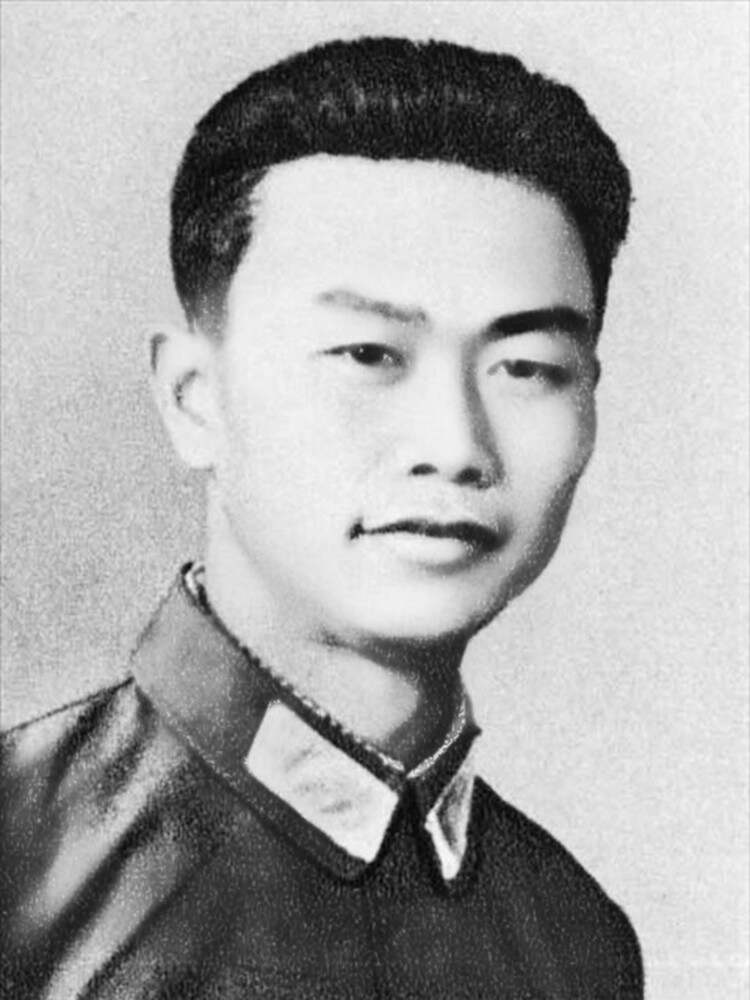 关于刘还扇牺逐的SEO文章，刘还扇牺逐，SEO优化秘籍揭秘