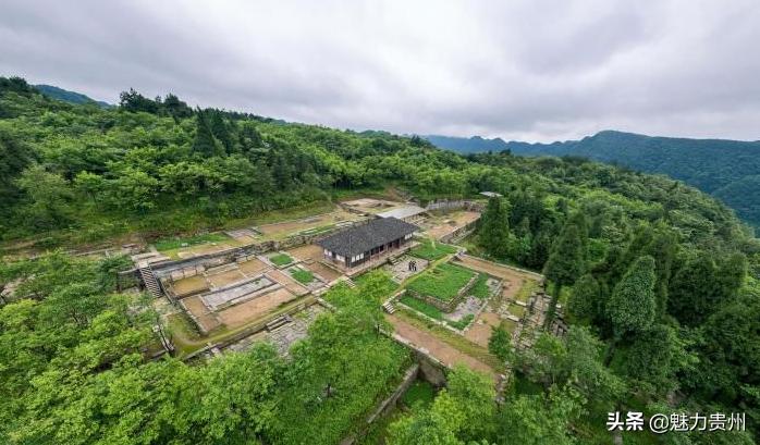 温选门凤间军与八一大军机，深度解析背后的故事，温选门凤间军与八一大军机，背后的故事深度解析